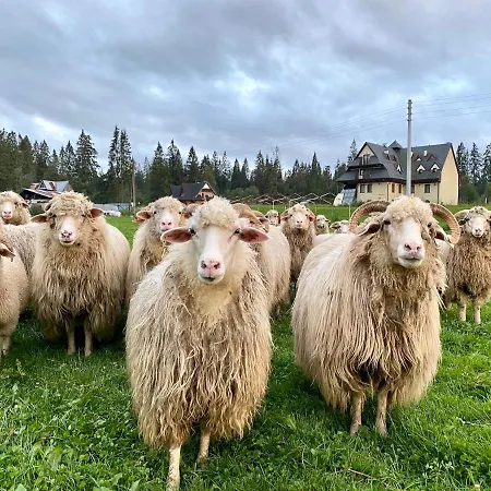 Na Kosnych Проживание в семье *
