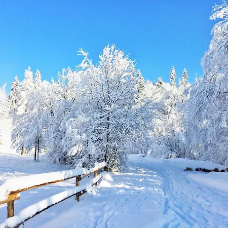 Ubytování v soukromí Na Kosnych *