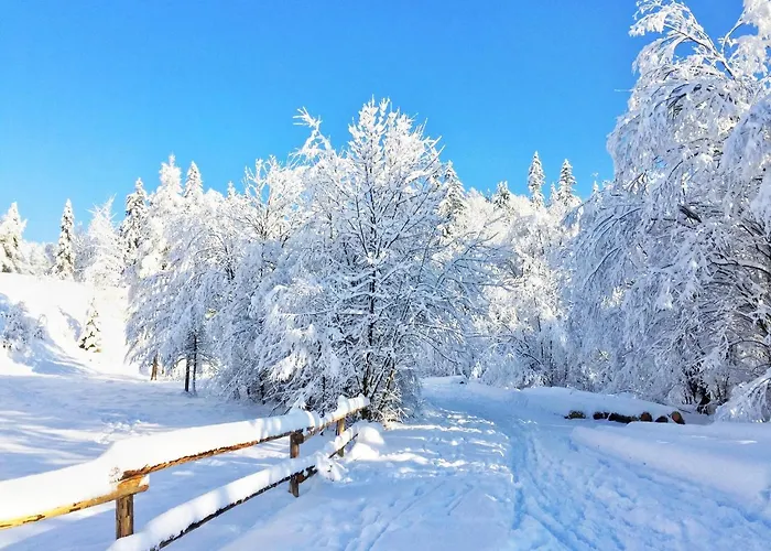Habitación en casa particular Na Kosnych *